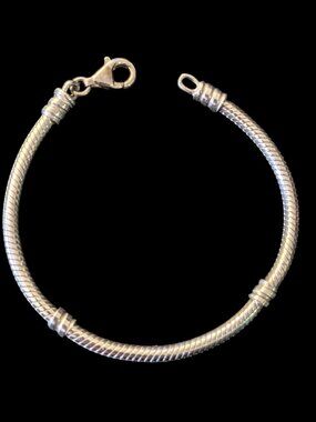 Pandora Ale S925 Sterling Silver Size 5.75" Charm Bracelet Youth Pandora